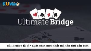 Bridge